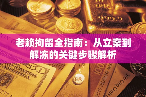 北京老赖拘留全指南：从立案到解冻的关键步骤解析