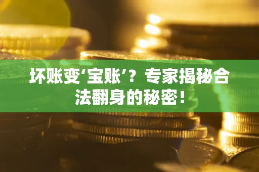 北京坏账变‘宝账’？专家揭秘合法翻身的秘密！