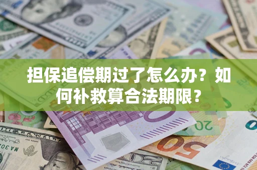 北京担保追偿期过了怎么办？如何补救算合法期限？