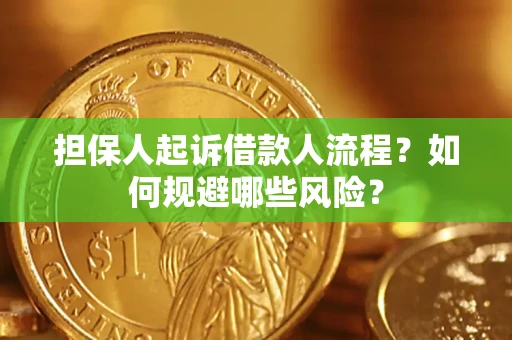 北京担保人起诉借款人流程？如何规避哪些风险？
